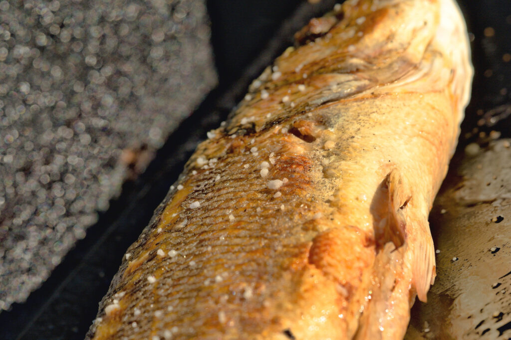 Havbars på plancha.