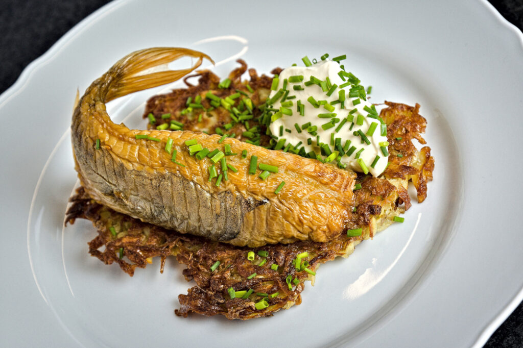 Varmrøget stenbider på sprød kartoffelrøsti med creme fraiche