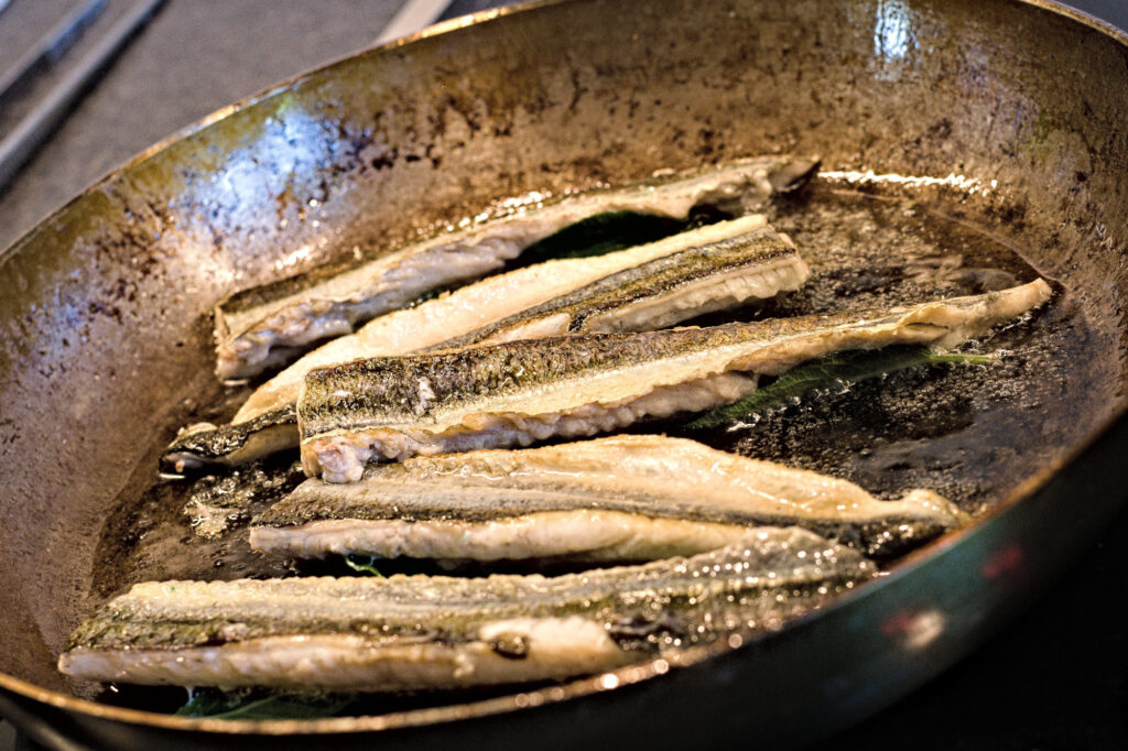 Stegning af hornfisk i fileter.